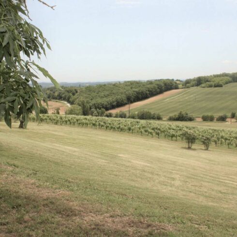 Domaine de Perches - Suite de Luxe