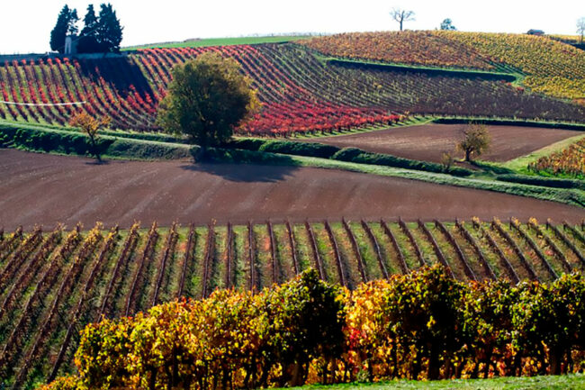 Domaine de Perches Domaine de Perches