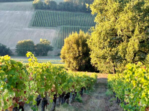 Domaine de Perches - Suite Junior